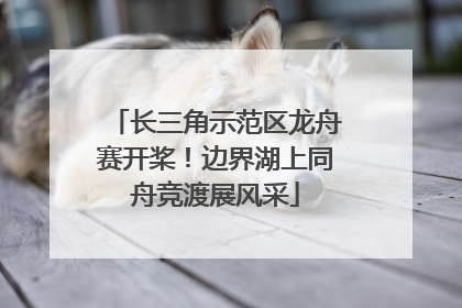 长三角示范区龙舟赛开桨！边界湖上同舟竞渡展风采
