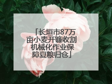 长垣市87万亩小麦开镰收割 机械化作业保障夏粮归仓
