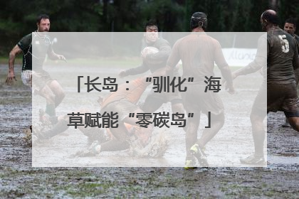 长岛：“驯化”海草赋能“零碳岛”