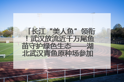 长江“美人鱼”领衔！武汉放流近千万尾鱼苗守护绿色生态——湖北武汉青鱼原种场参加2025年“全国放鱼日”增殖放流活动