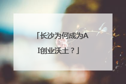 长沙为何成为AI创业沃土？