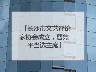 长沙市文艺评论家协会成立，曹隽平当选主席