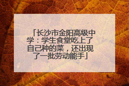 长沙市金阳高级中学：学生食堂吃上了自己种的菜，还出现了一批劳动能手