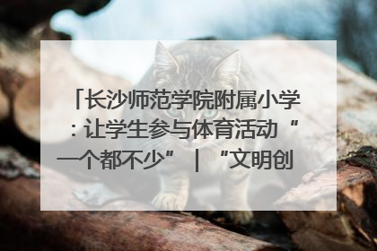 长沙师范学院附属小学：让学生参与体育活动“一个都不少”｜“文明创建耀三湘”专栏