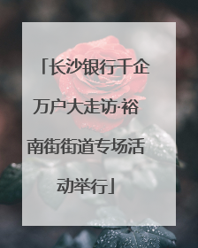 长沙银行千企万户大走访·裕南街街道专场活动举行