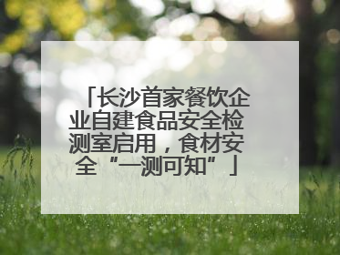 长沙首家餐饮企业自建食品安全检测室启用，食材安全“一测可知”