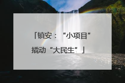 镇安：“小项目”撬动“大民生”