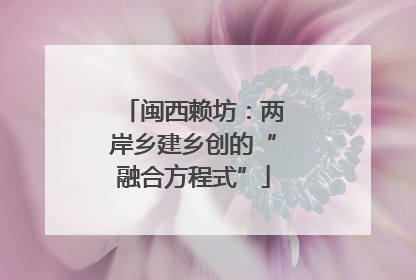 闽西赖坊：两岸乡建乡创的“融合方程式”