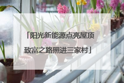阳光新能源点亮屋顶 致富之路照进三家村