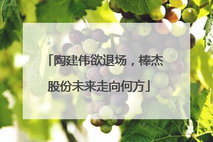 陶建伟欲退场，棒杰股份未来走向何方