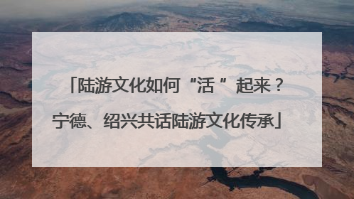 陆游文化如何“活 ”起来？宁德、绍兴共话陆游文化传承
