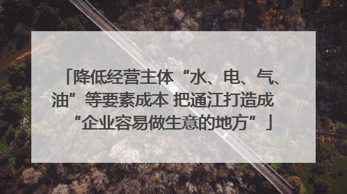 降低经营主体“水、电、气、油”等要素成本 把通江打造成“企业容易做生意的地方”