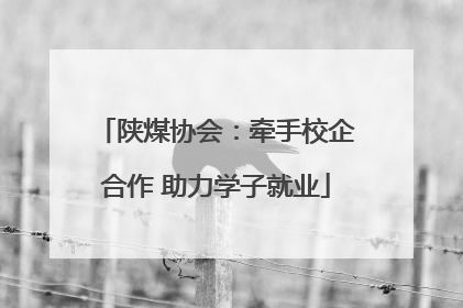 陕煤协会：牵手校企合作 助力学子就业