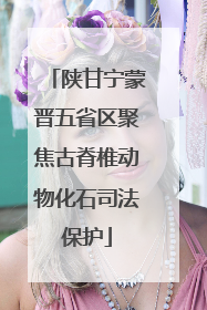 陕甘宁蒙晋五省区聚焦古脊椎动物化石司法保护