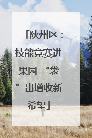 陕州区：技能竞赛进果园 “袋”出增收新希望