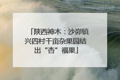 陕西神木：沙峁镇兴四村千亩杂果园结出“杏”福果