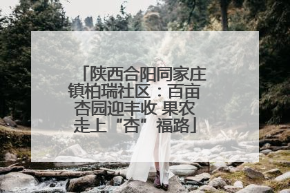 陕西合阳同家庄镇柏瑞社区：百亩杏园迎丰收 果农走上“杏”福路