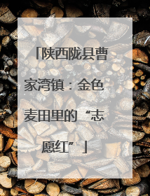 陕西陇县曹家湾镇：金色麦田里的“志愿红”