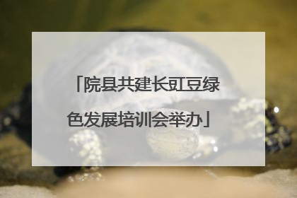 院县共建长豇豆绿色发展培训会举办