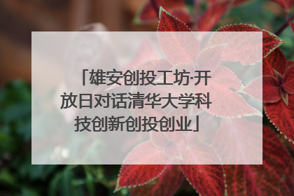 雄安创投工坊·开放日对话清华大学科技创新创投创业