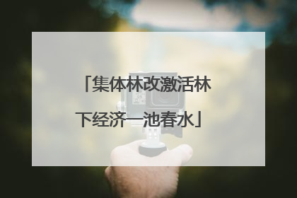集体林改激活林下经济一池春水