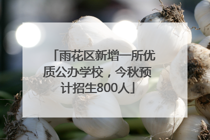 雨花区新增一所优质公办学校，今秋预计招生800人