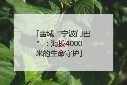 雪域“宁波门巴”：海拔4000米的生命守护