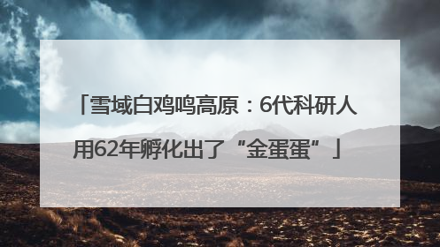 雪域白鸡鸣高原：6代科研人用62年孵化出了“金蛋蛋”
