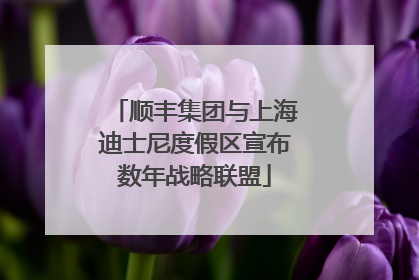 顺丰集团与上海迪士尼度假区宣布数年战略联盟