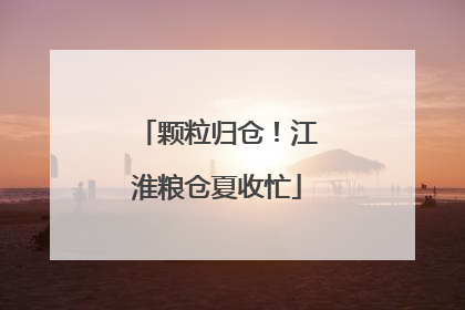 颗粒归仓！江淮粮仓夏收忙