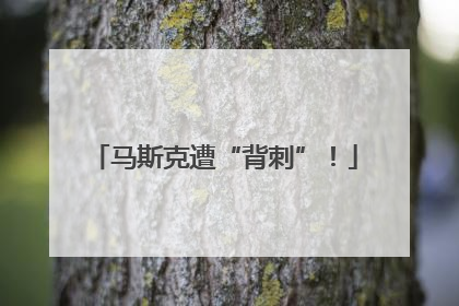 马斯克遭“背刺”！