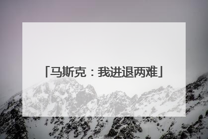 马斯克：我进退两难