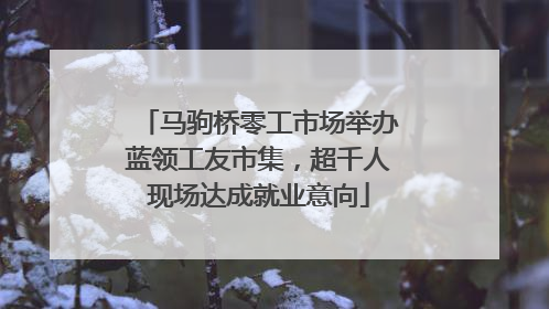 马驹桥零工市场举办蓝领工友市集，超千人现场达成就业意向
