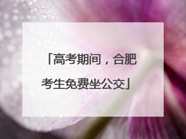 高考期间，合肥考生免费坐公交