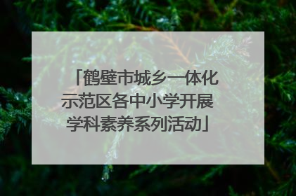 鹤壁市城乡一体化示范区各中小学开展学科素养系列活动