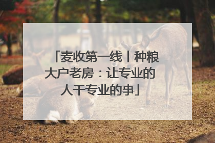 麦收第一线丨种粮大户老房：让专业的人干专业的事