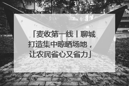 麦收第一线丨聊城打造集中晾晒场地，让农民省心又省力