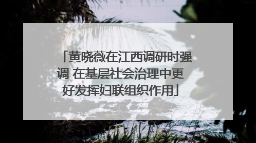 黄晓薇在江西调研时强调 在基层社会治理中更好发挥妇联组织作用