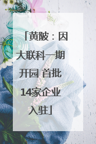 黄陂：因大联科一期开园 首批14家企业入驻