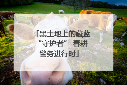 黑土地上的藏蓝“守护者” 春耕警务进行时