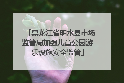 黑龙江省明水县市场监管局加强儿童公园游乐设施安全监管