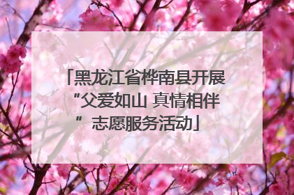 黑龙江省桦南县开展“父爱如山 真情相伴”志愿服务活动