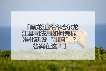 黑龙江齐齐哈尔龙江县司法局如何凭标准化建设“出圈”？答案在这！