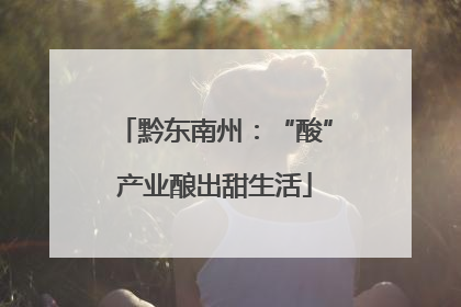 黔东南州：“酸”产业酿出甜生活