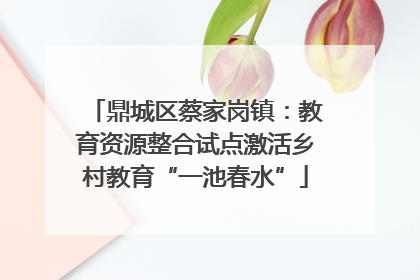 鼎城区蔡家岗镇：教育资源整合试点激活乡村教育“一池春水”