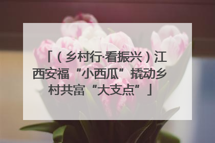 （乡村行·看振兴）江西安福“小西瓜”撬动乡村共富“大支点”