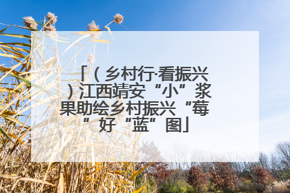 （乡村行·看振兴）江西靖安“小”浆果助绘乡村振兴“莓”好“蓝”图
