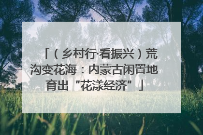 （乡村行·看振兴）荒沟变花海：内蒙古闲置地育出“花漾经济”