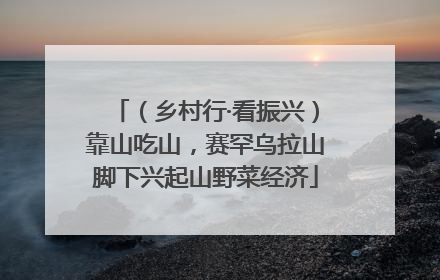 （乡村行·看振兴）靠山吃山，赛罕乌拉山脚下兴起山野菜经济