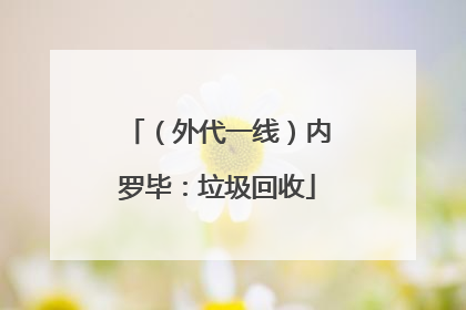 （外代一线）内罗毕：垃圾回收